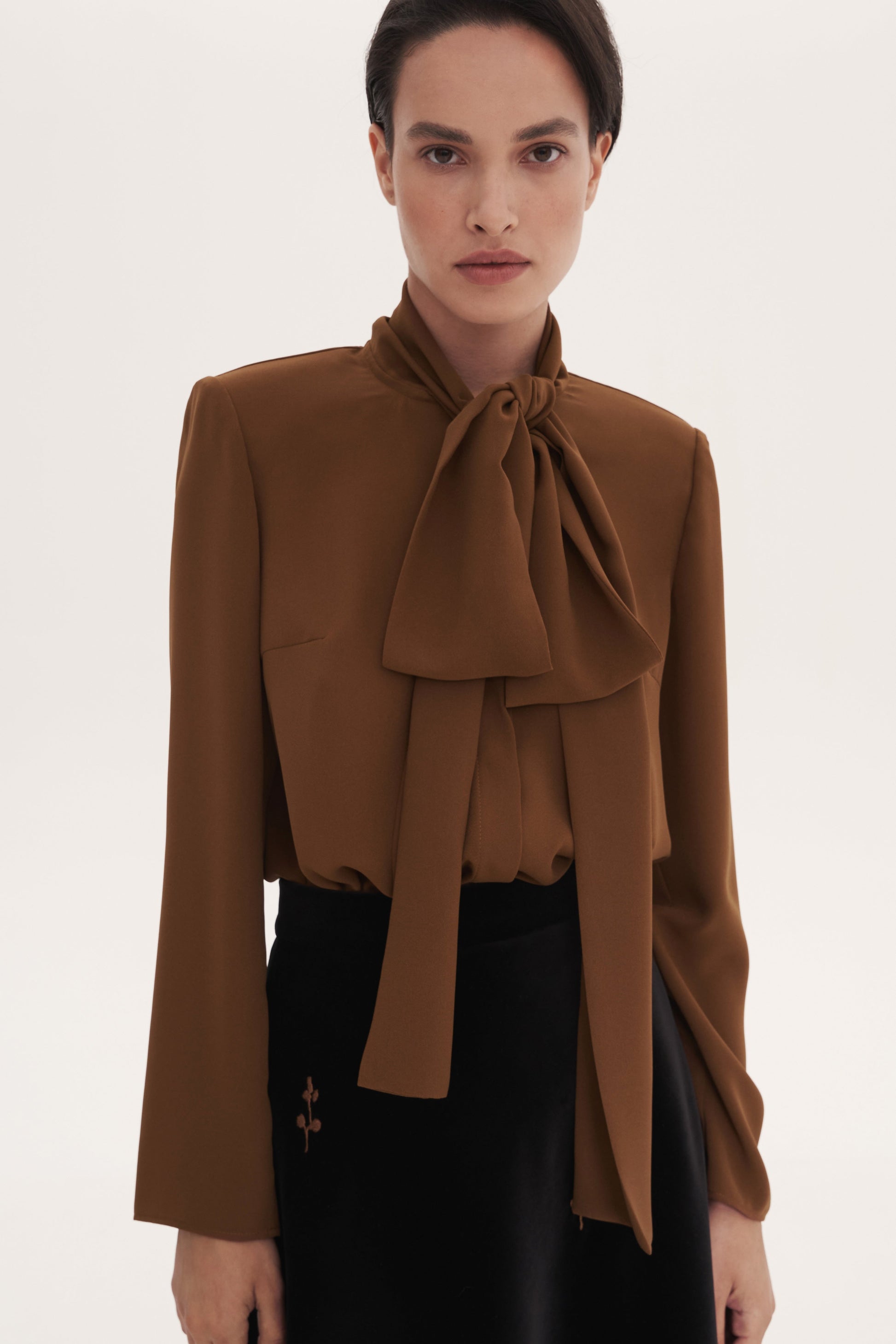 Brown Blouse