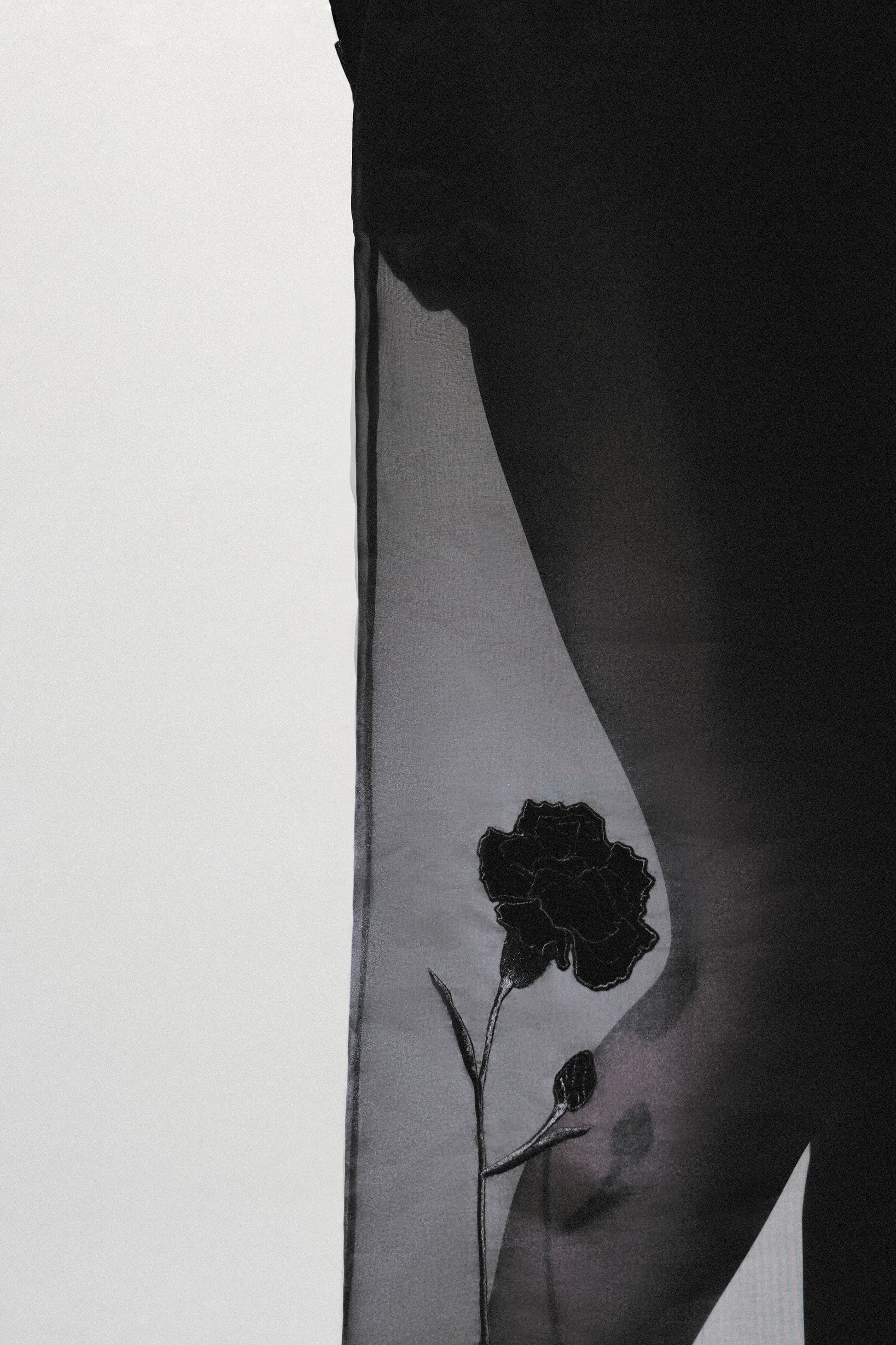 Black dress “Bluebottle”