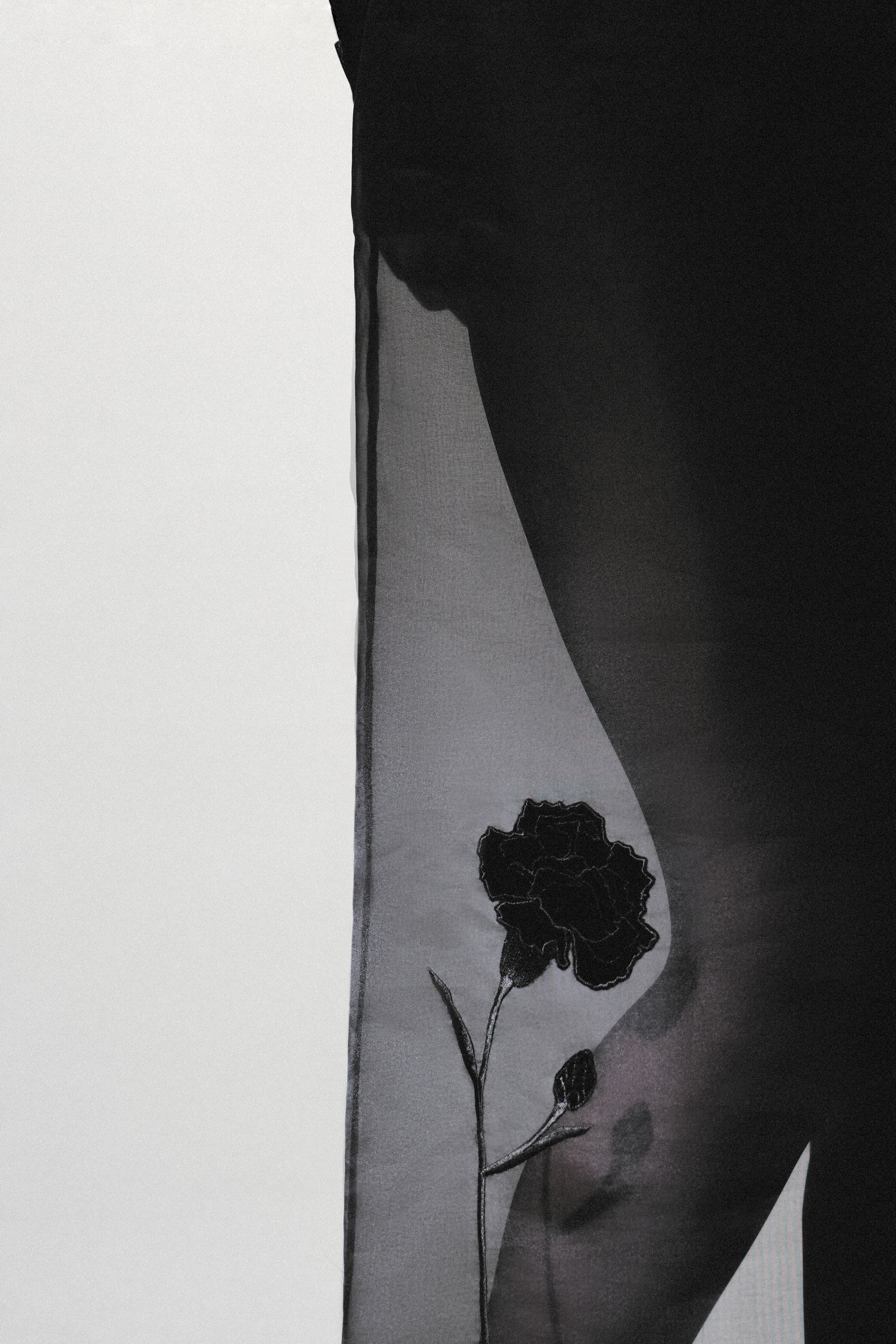 Black dress “Bluebottle”